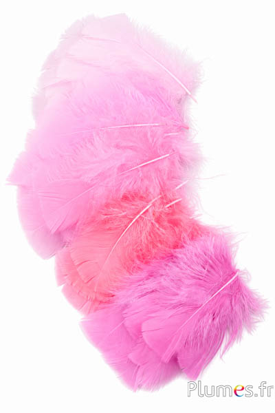Tacchina - 6-8 cm - sfumature di rosa